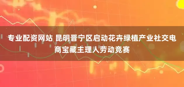 专业配资网站 昆明晋宁区启动花卉绿植产业社交电商宝藏主理人劳动竞赛