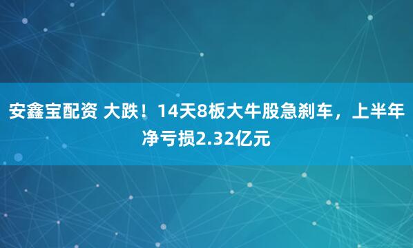 安鑫宝配资 大跌！14天8板大牛股急刹车，上半年净亏损2.32亿元